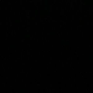 Meet your Posher, Abbi